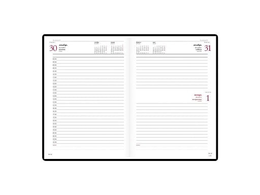 Ежедневник А5 датированный Velvet