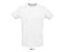 sols_white
