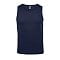 sols_french_navy