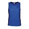 sols_royal_blue