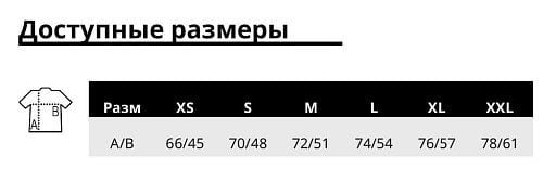 Футболка REGENT FIT