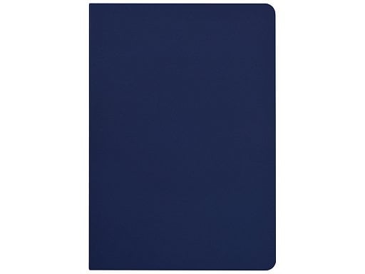 Бизнес-тетрадь А5 Pragmatic Contrast, 40 листов в клетку