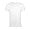 sols_white
