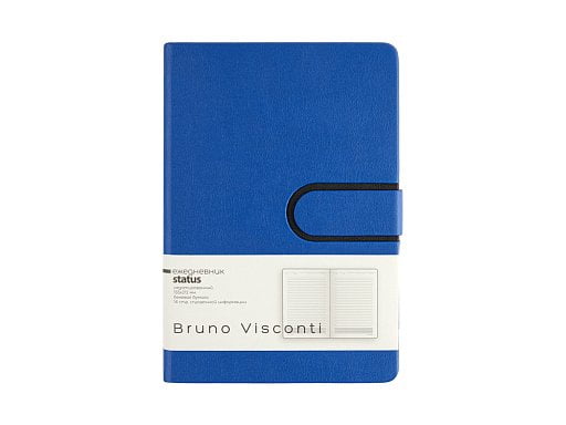 Ежедневник недатированный А5 Status