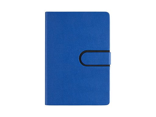 Ежедневник недатированный А5 Status