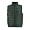 sols_forest_green