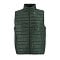 sols_forest_green