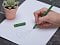 Вечный карандаш из переработанной бумаги Recycled pencil