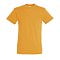 sols_apricot