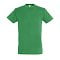 sols_kelly_green