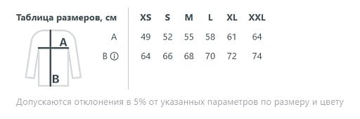 Худи унисекс Phoenix
