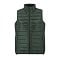 sols_forest_green