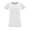 sols_white
