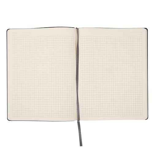 Бизнес-блокнот  Biggy , B5 формат,мягкая обложка, в клетку