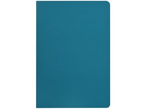 Бизнес-тетрадь А5 Pragmatic Contrast, 40 листов в клетку