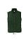 sols_fir_green