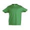sols_kelly_green