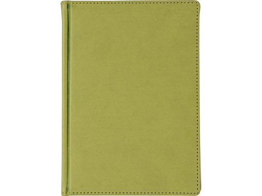 Ежедневник недатированный А5 Velvet