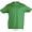 sols_kelly_green