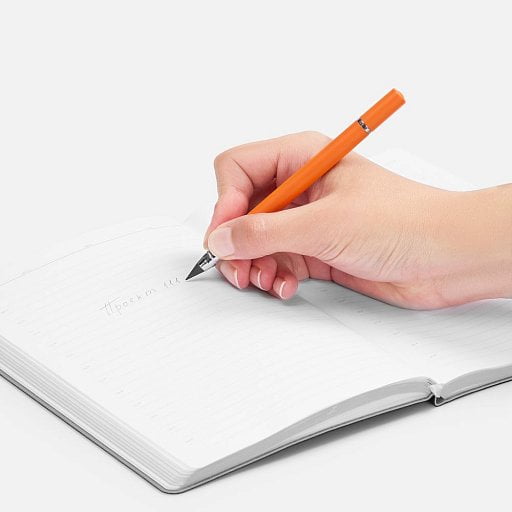 Ручка шариковая и вечный карандаш Diptych