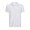 sols_white