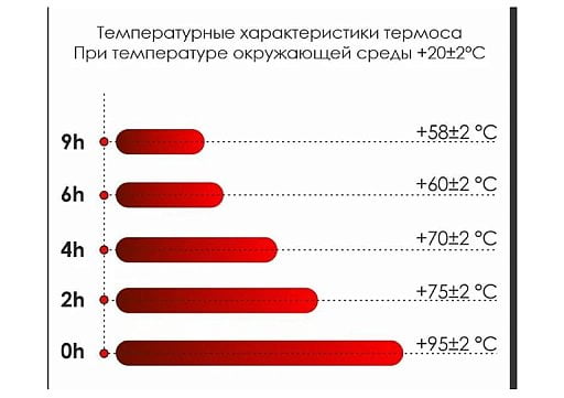 Термос Picnic Silver