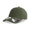 project_111_olive