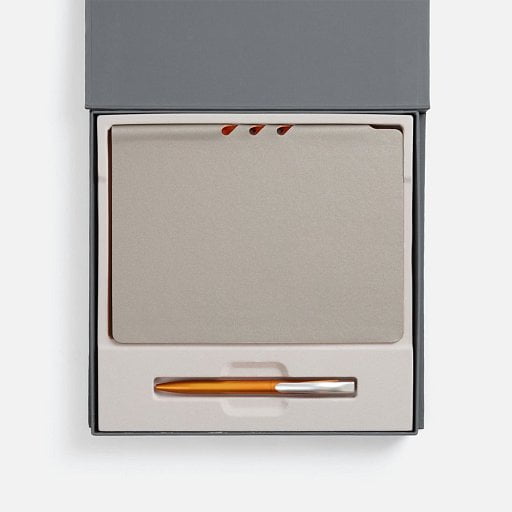 Набор Flexpen Grey