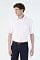 sols_white