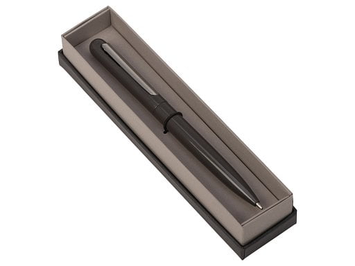 Ручка в футляре Blooming Skate