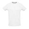 sols_white