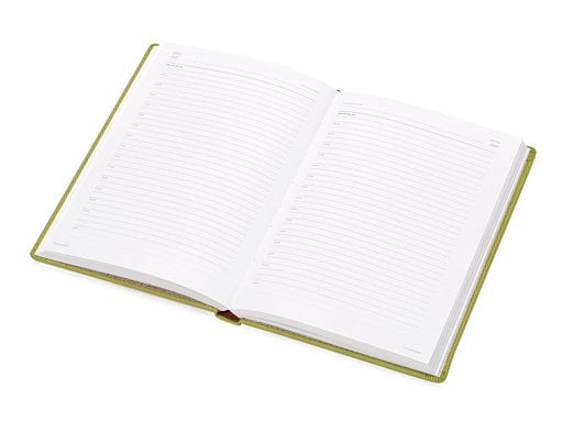 Ежедневник недатированный А5 Velvet