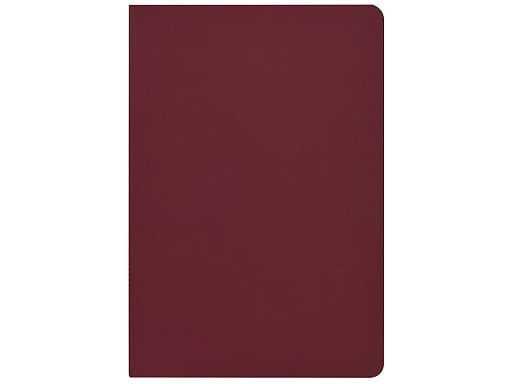 Бизнес-тетрадь А5 Pragmatic Contrast, 40 листов в клетку