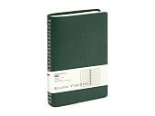Ежедневник недатированный А5 Alba