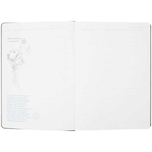 Ежедневник «История изобретений», недатированный