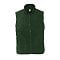 sols_fir_green
