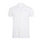 sols_white