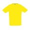 sols_lemon