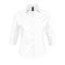 sols_white