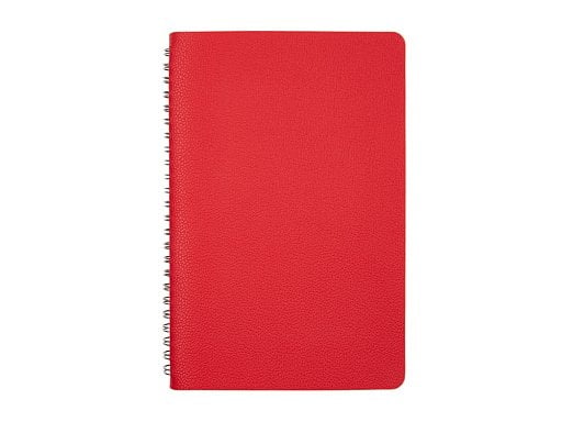 Ежедневник недатированный А5 Alba