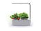 happy_gifts_white_grey