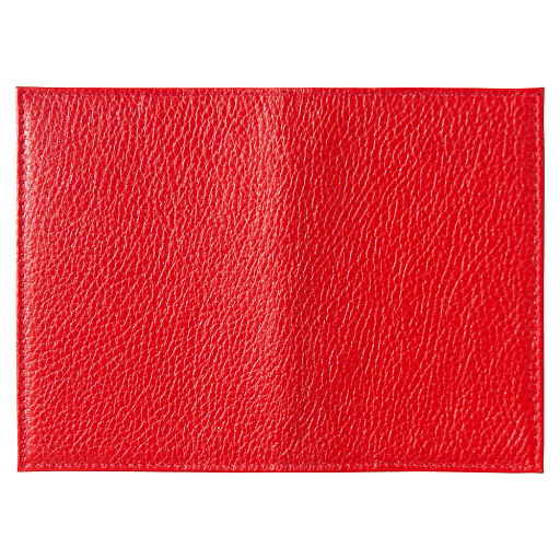 Обложка для автодокументов Leather Sky Flotter Sun из натуральной кожи