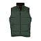 sols_forest_green