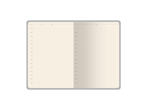 Ежедневник недатированный А5 Bosforo