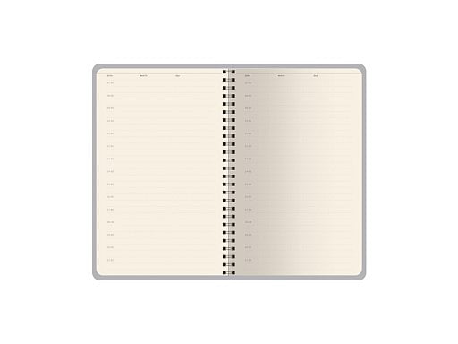 Ежедневник недатированный А5 Alba