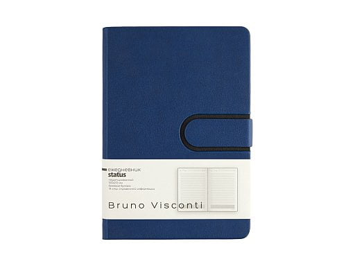 Ежедневник недатированный А5 Status