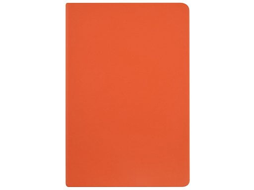 Ежедневник А5 датированный Megapolis Color
