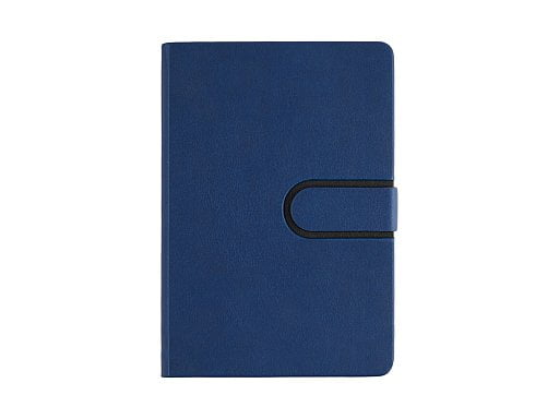 Ежедневник недатированный А5 Status