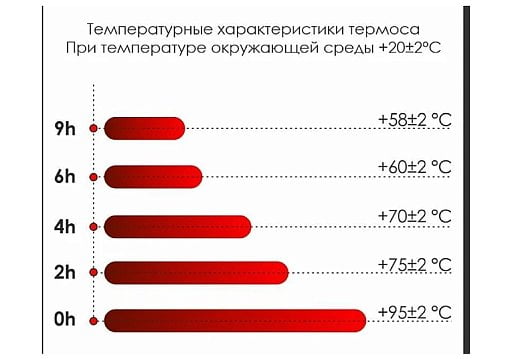 Термос Picnic Bright