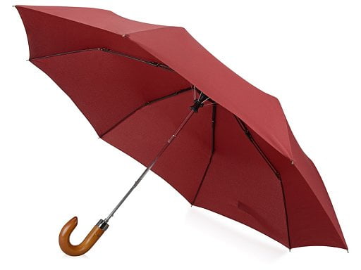Зонт складной Cary, полуавтоматический, 3 сложения, с чехлом